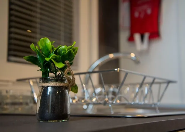 Mobile Amelie - Oaza Mira 別荘