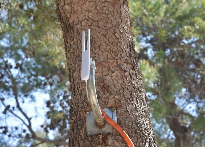 Mobile Amelie - Oaza Mira Holiday home Drage